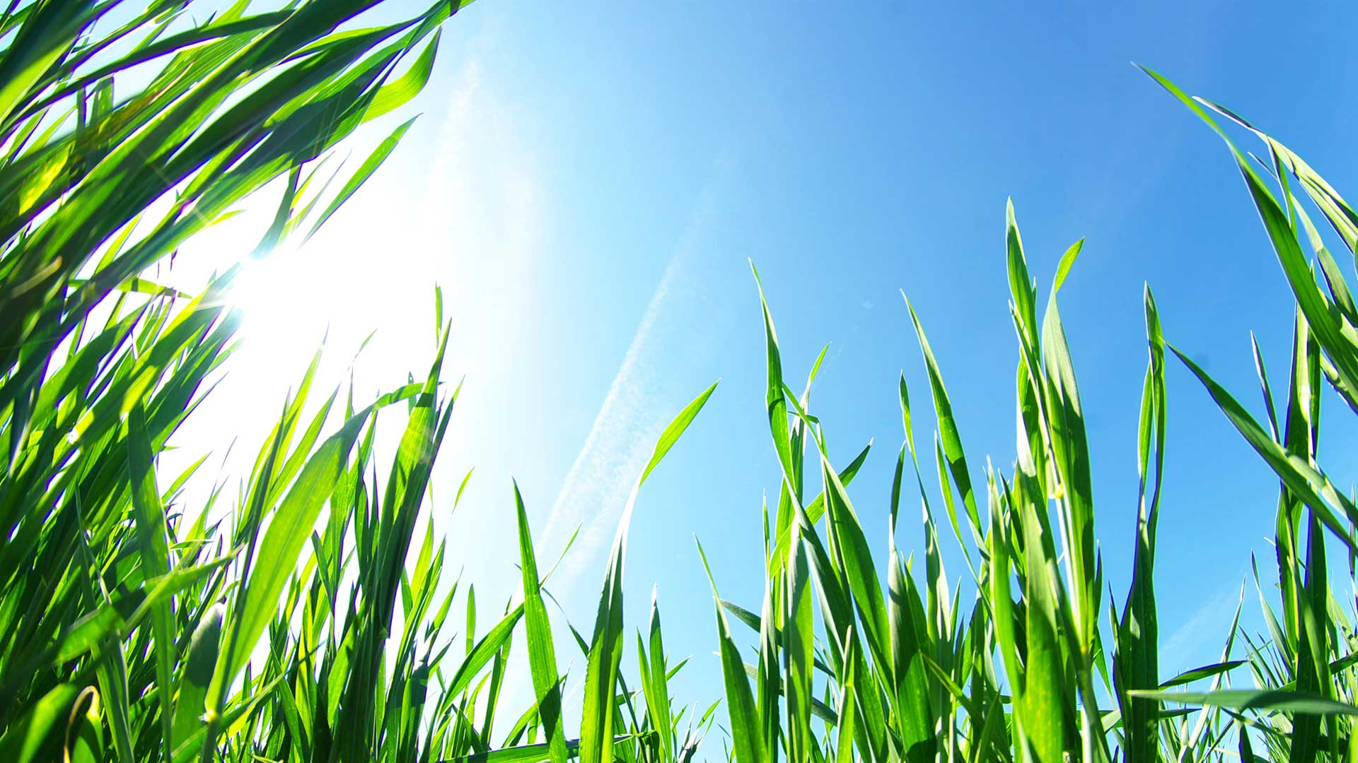 Geruchsmarke eintragen lassen