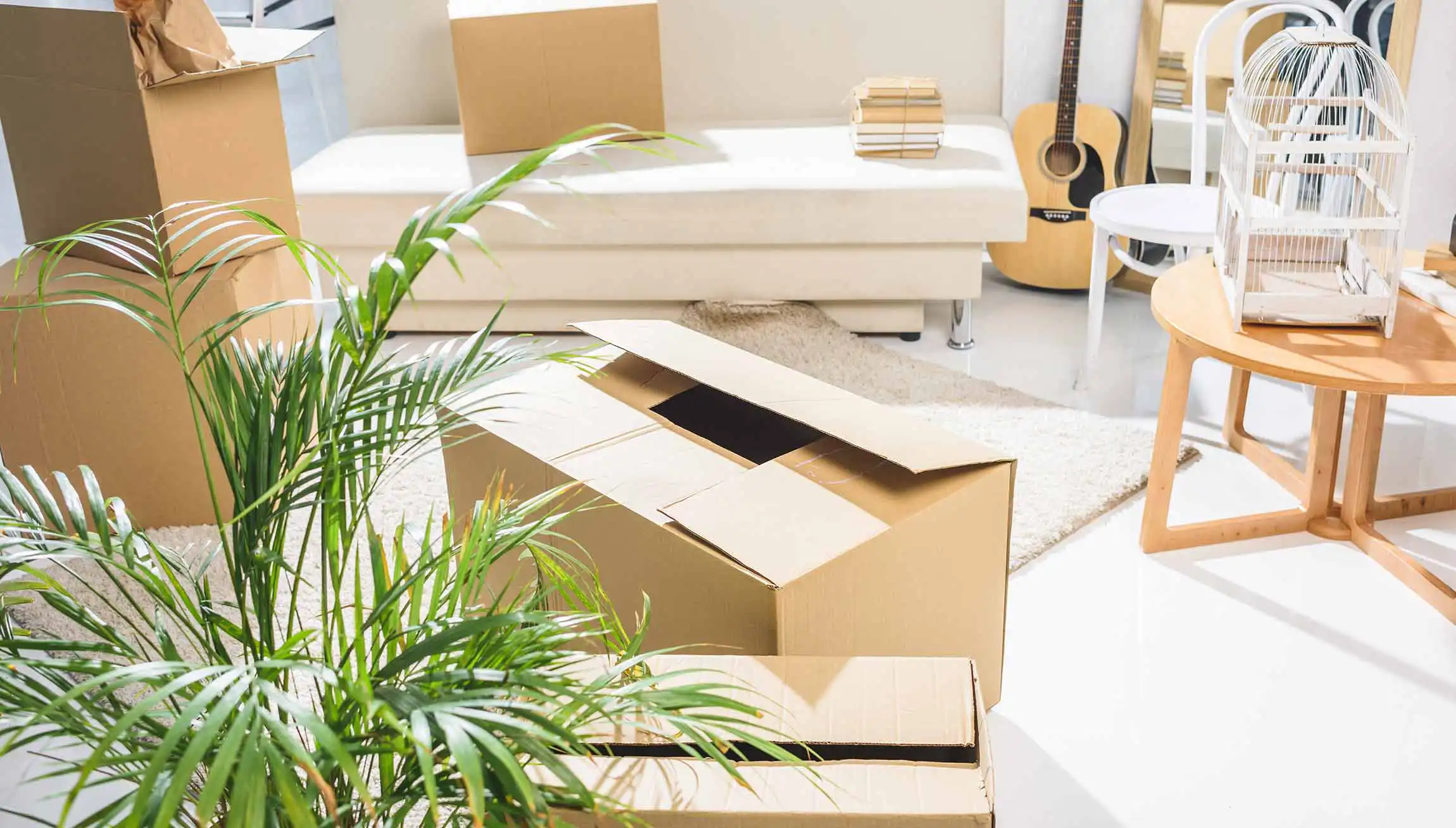 Eigenbedarfskündigung Erweiterter Kündigungsschutz für Mieter